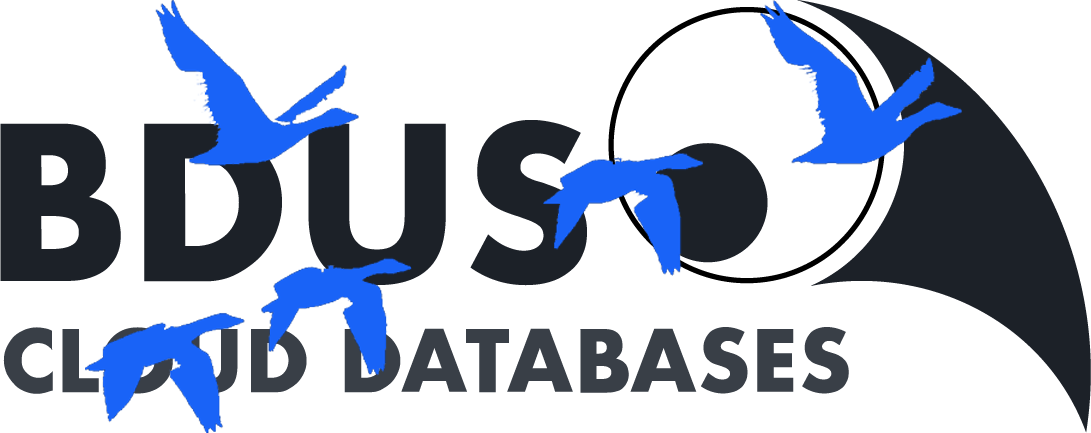 Migration towards v4: a roadmap and guide