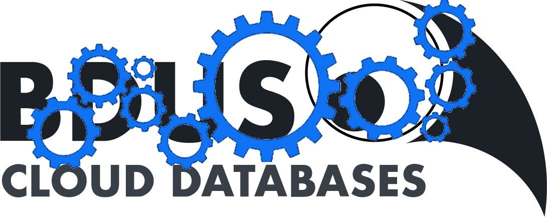 Automated tests are now available for BDUS v4