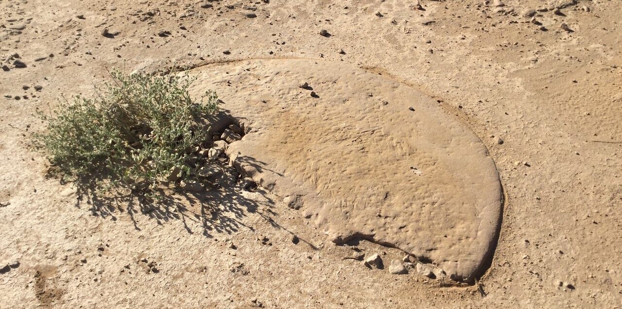 Partecipazione alla campagna 2022 della Missione Archeologica della Sapienza in Sudan di null